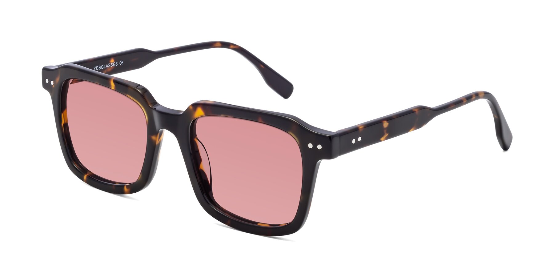 Angle of St. Mark in Tortoise with Medium Garnet Tinted Lenses