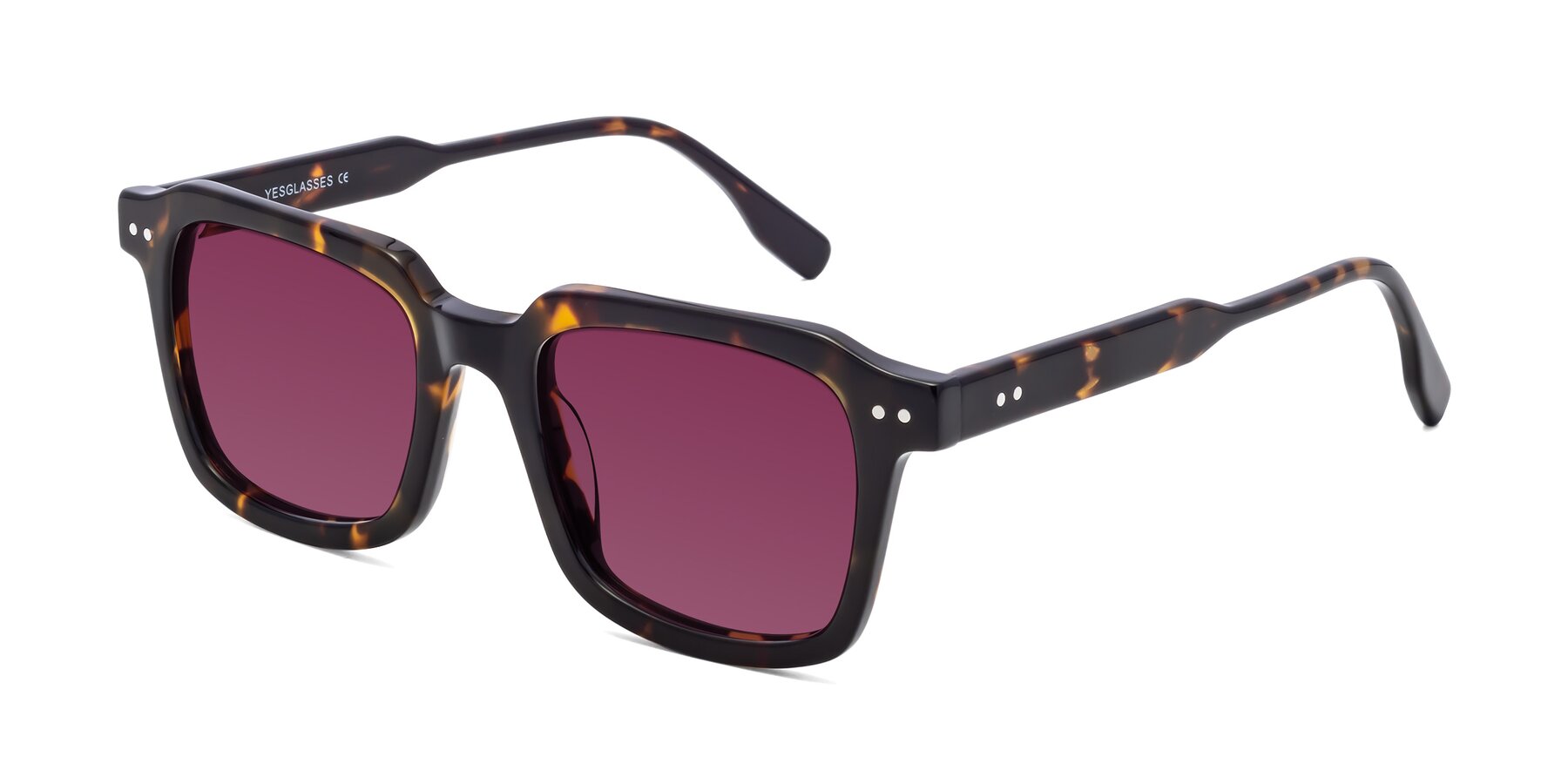 Angle of St. Mark in Tortoise with Wine Tinted Lenses