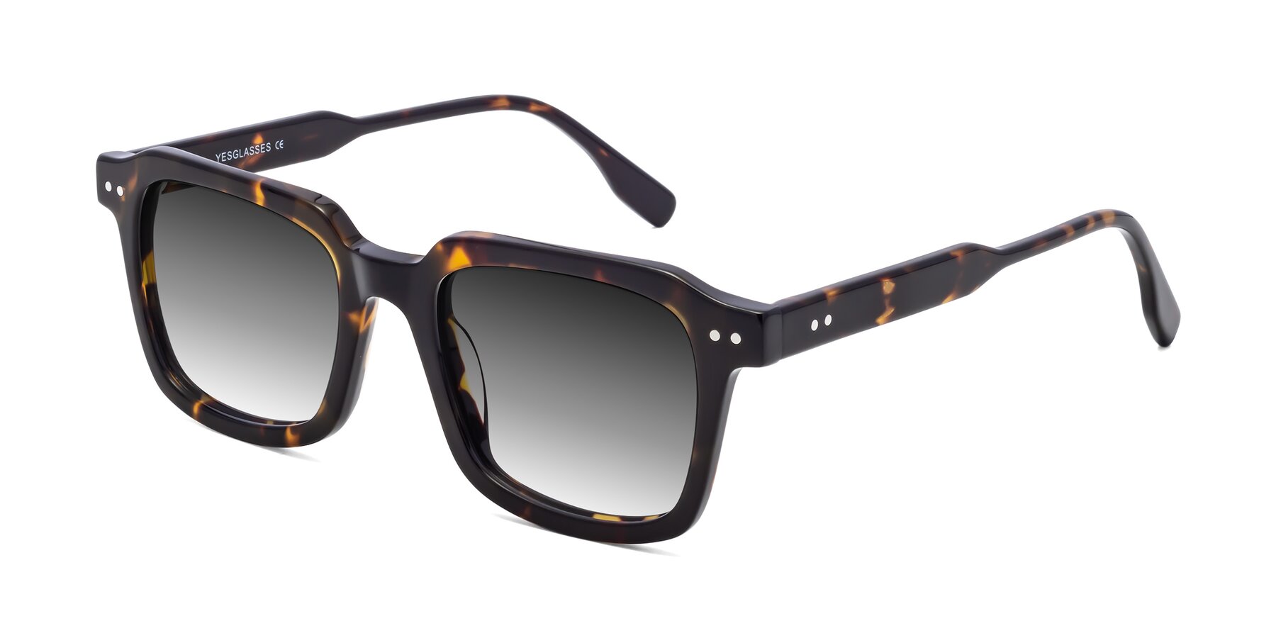 Angle of St. Mark in Tortoise with Gray Gradient Lenses
