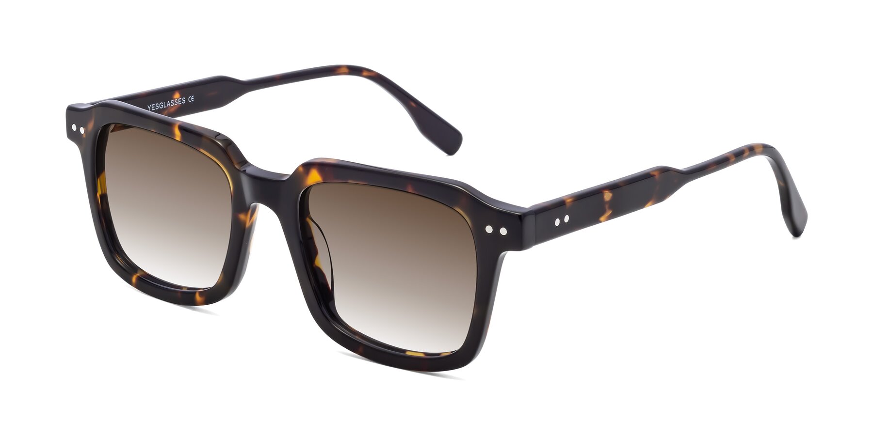 Angle of St. Mark in Tortoise with Brown Gradient Lenses