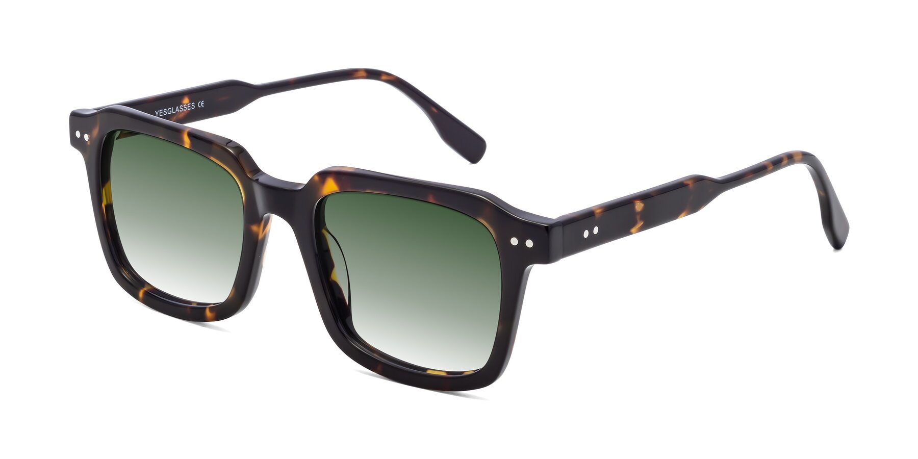 Angle of St. Mark in Tortoise with Green Gradient Lenses