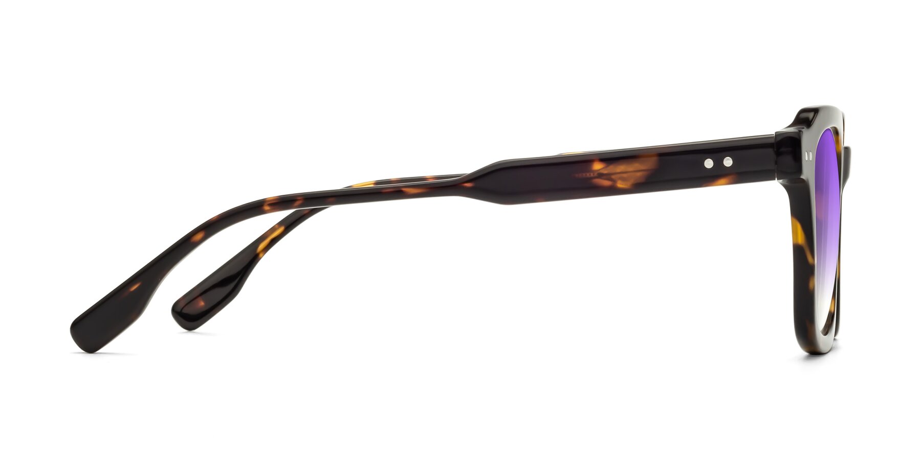 Side of St. Mark in Tortoise with Purple Gradient Lenses