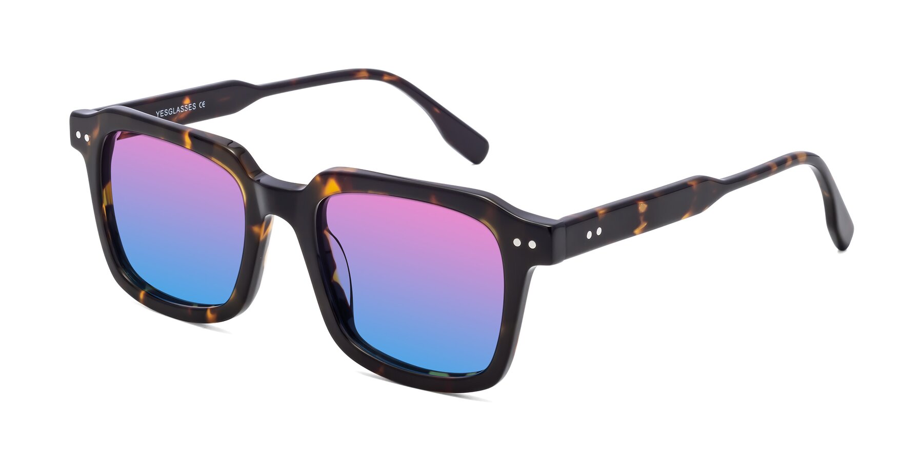 Angle of St. Mark in Tortoise with Pink / Blue Gradient Lenses