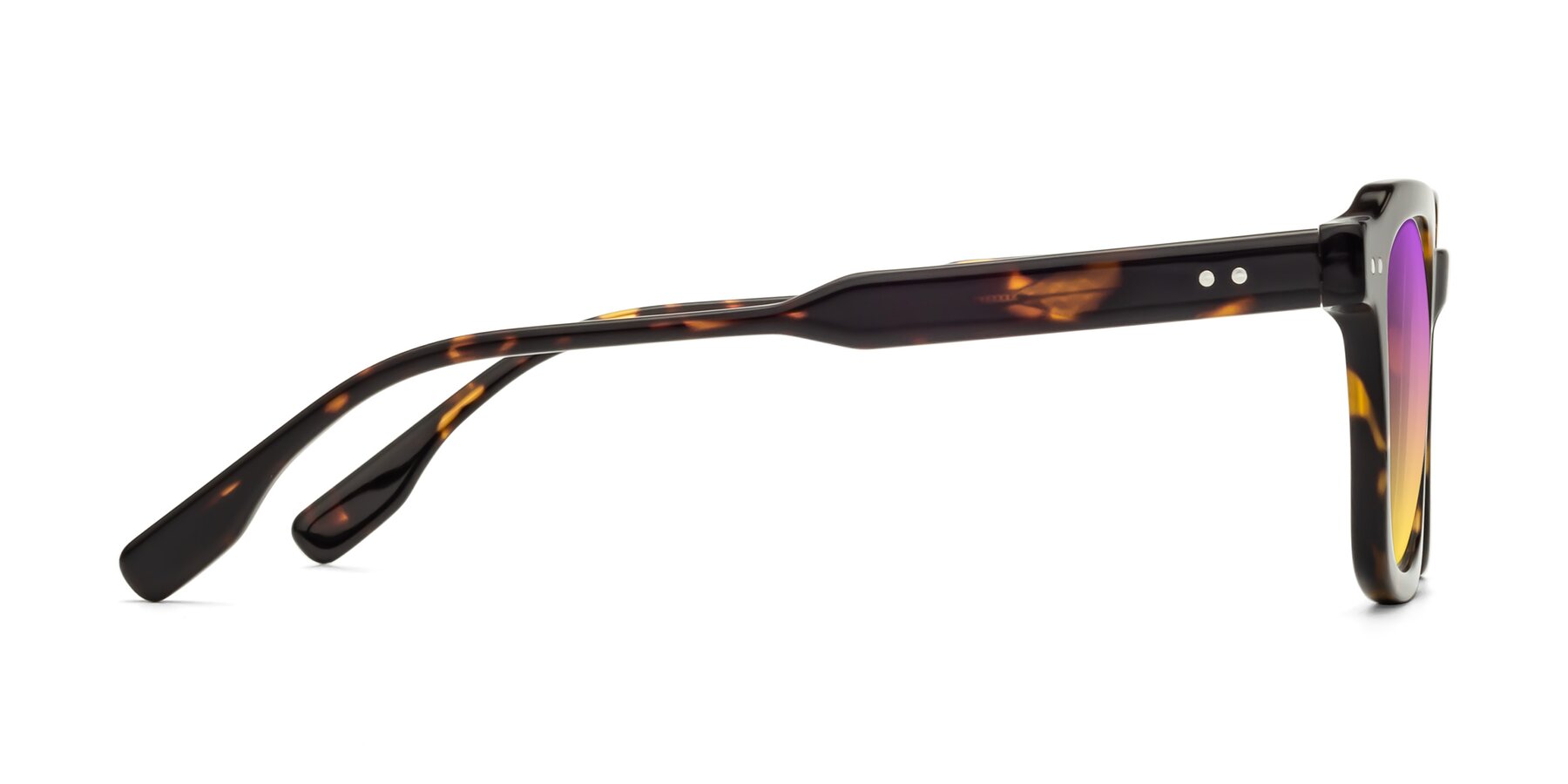 Side of St. Mark in Tortoise with Purple / Yellow Gradient Lenses