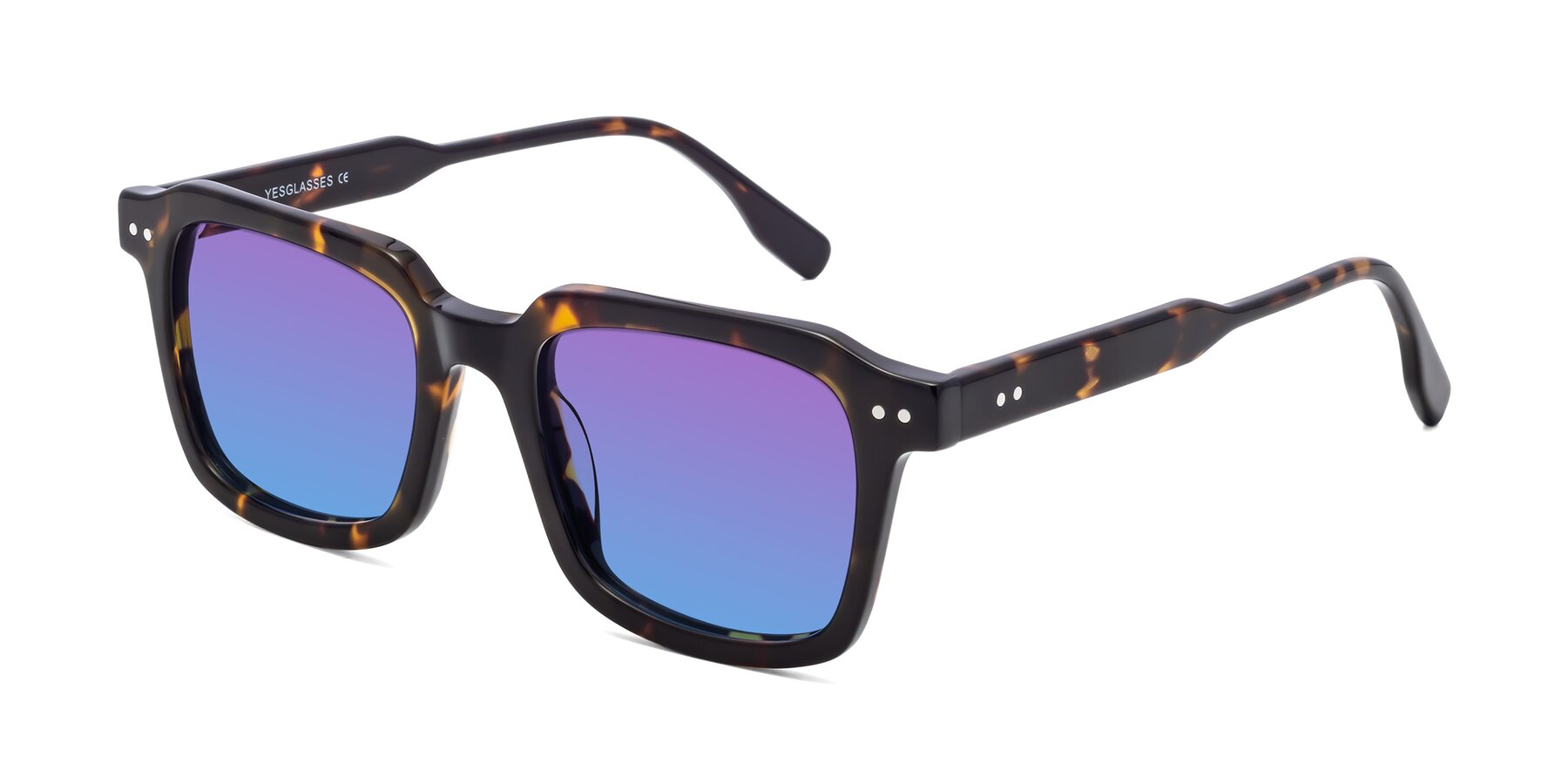Angle of St. Mark in Tortoise with Purple / Blue Gradient Lenses