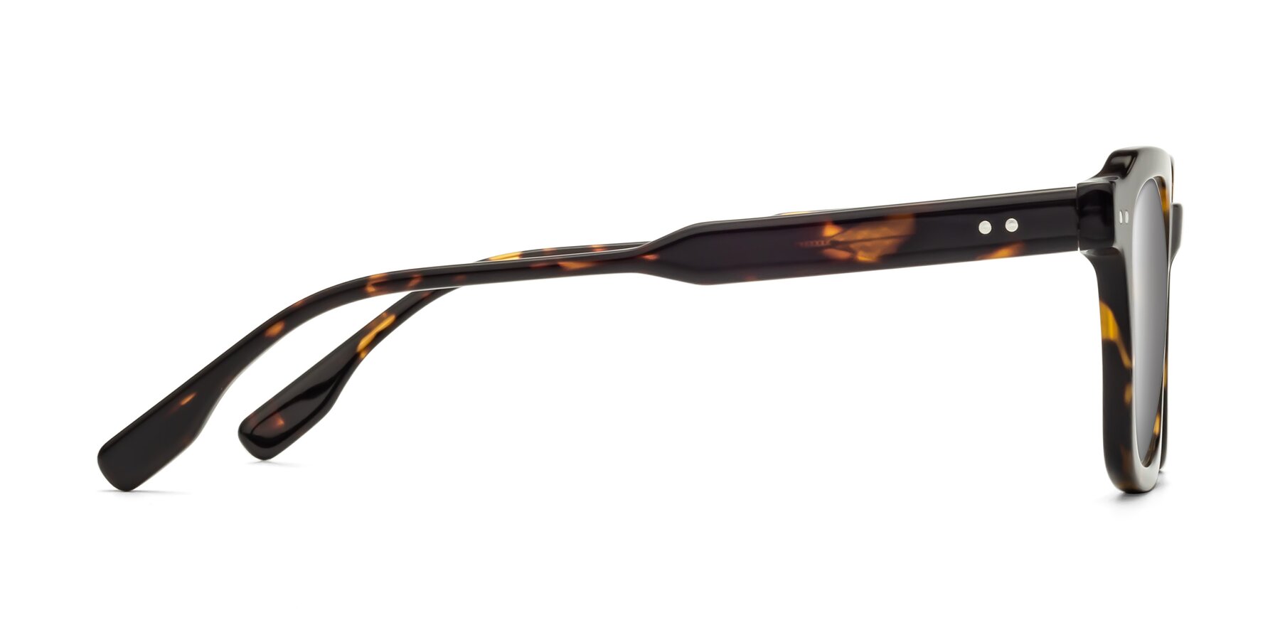 Side of St. Mark in Tortoise with Silver Mirrored Lenses