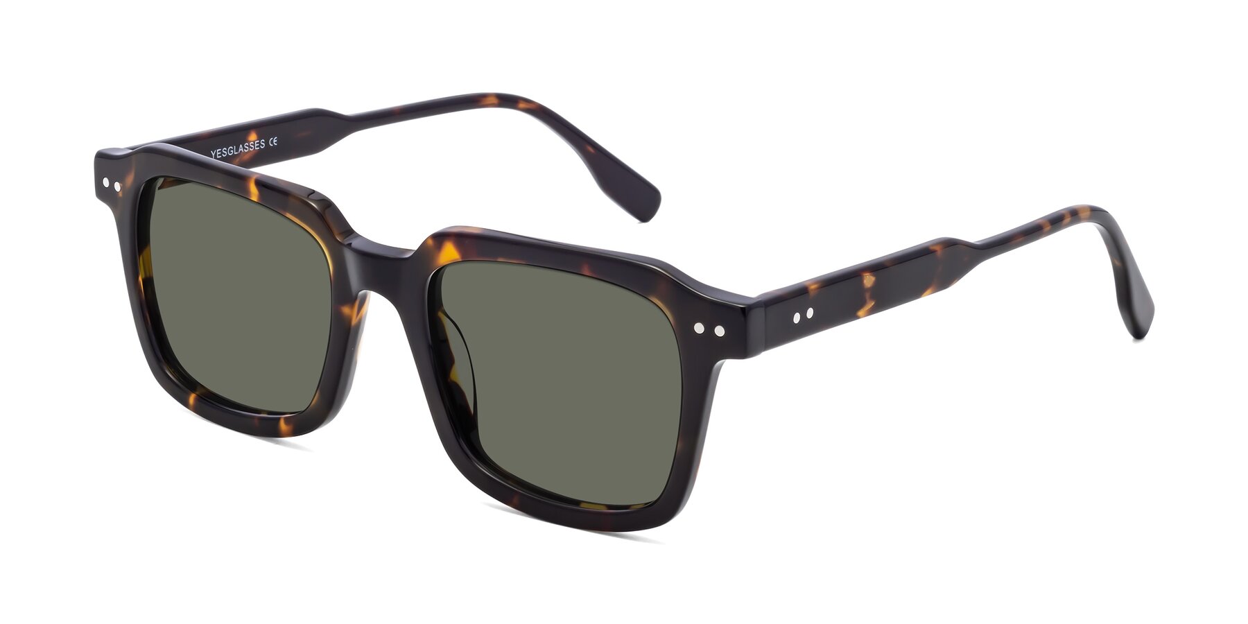 Angle of St. Mark in Tortoise with Gray Polarized Lenses