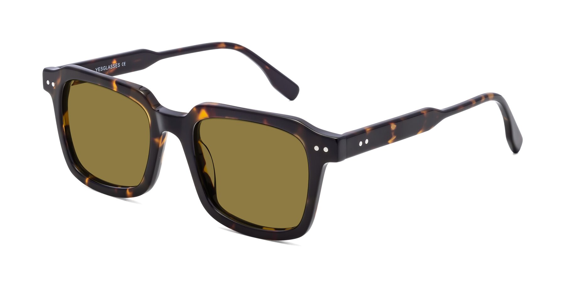 Angle of St. Mark in Tortoise with Brown Polarized Lenses