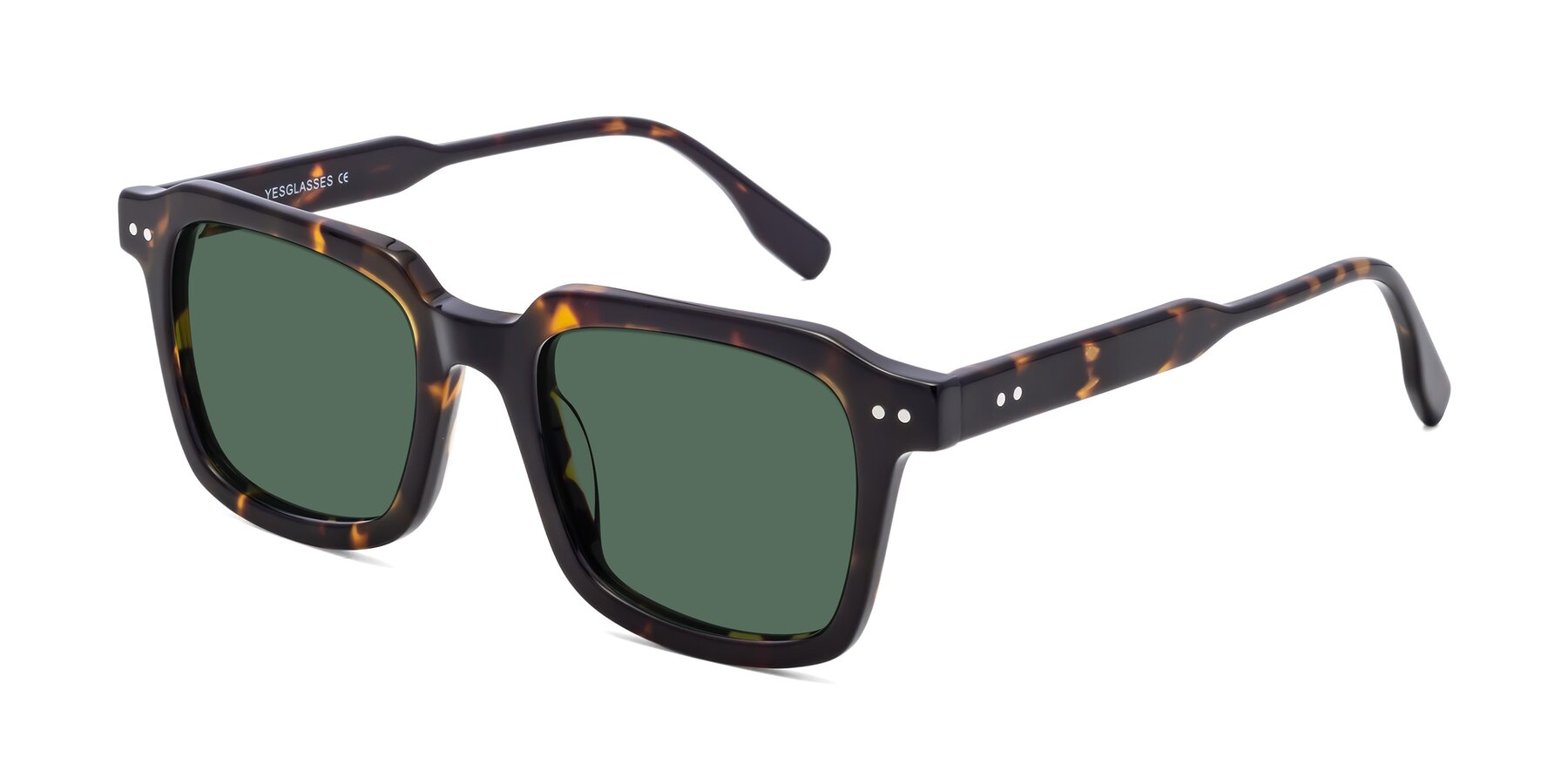 Angle of St. Mark in Tortoise with Green Polarized Lenses