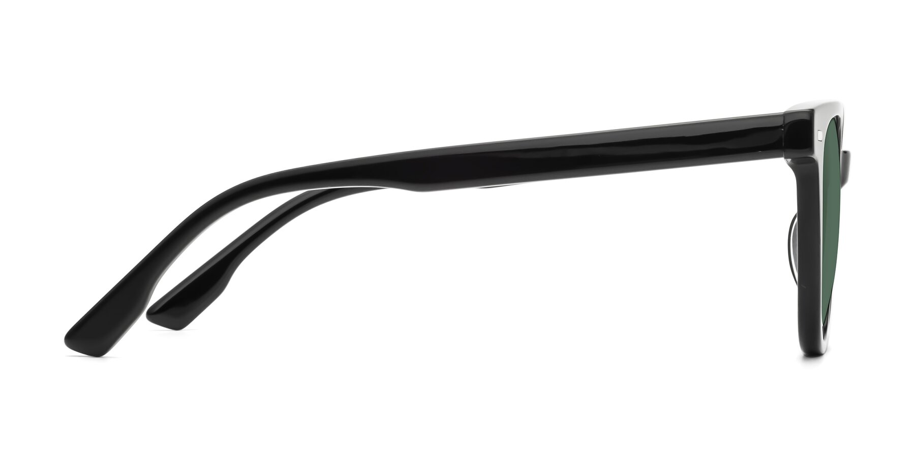 Side of Beacon in Black with Green Polarized Lenses