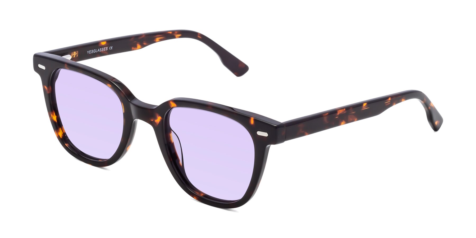 Angle of Beacon in Tortoise with Light Purple Tinted Lenses