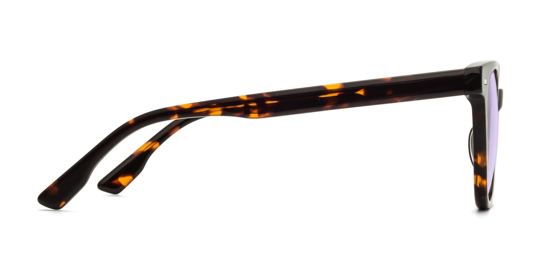 Side of Beacon in Tortoise with Light Purple Tinted Lenses