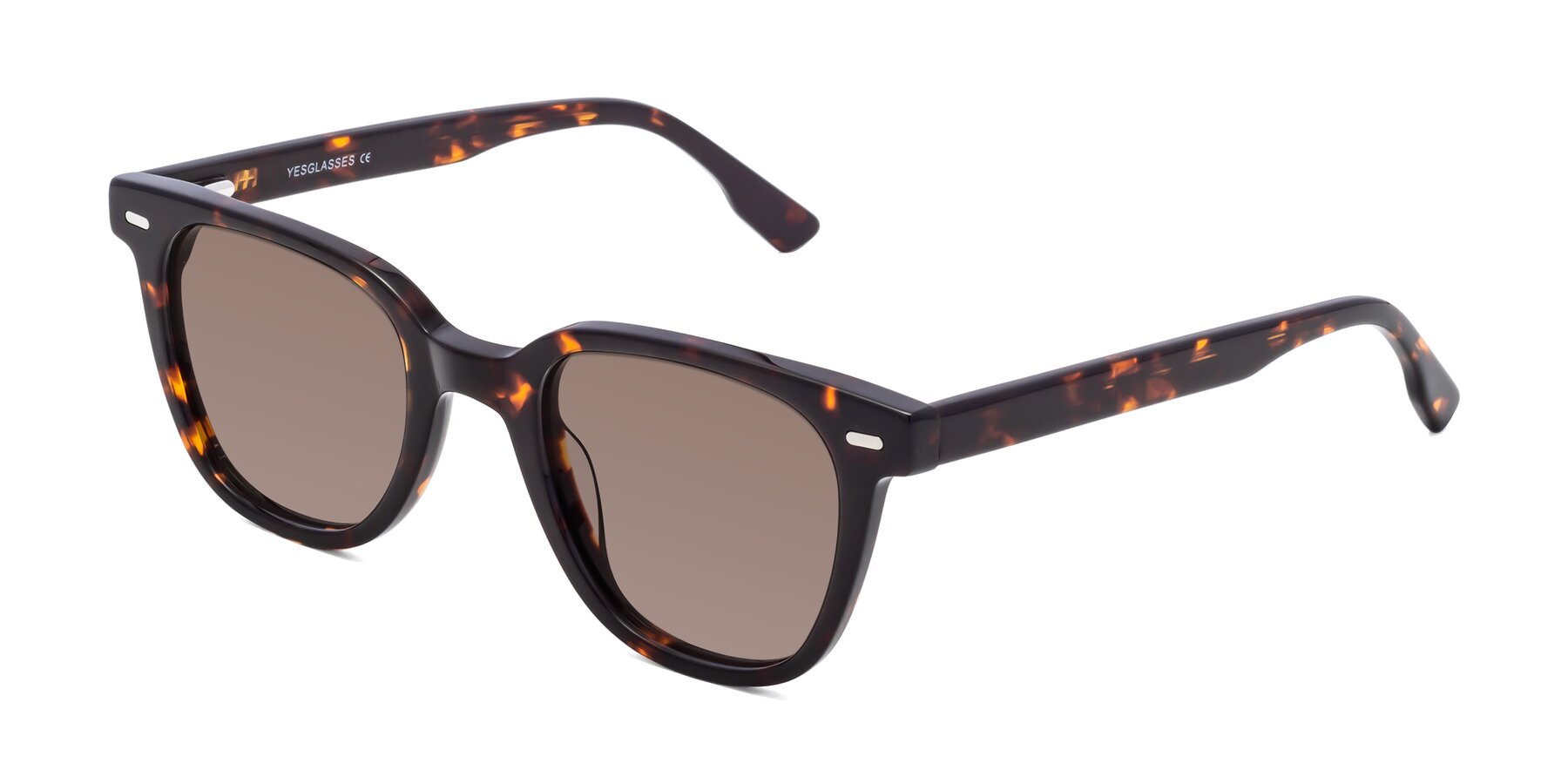Angle of Beacon in Tortoise with Medium Brown Tinted Lenses