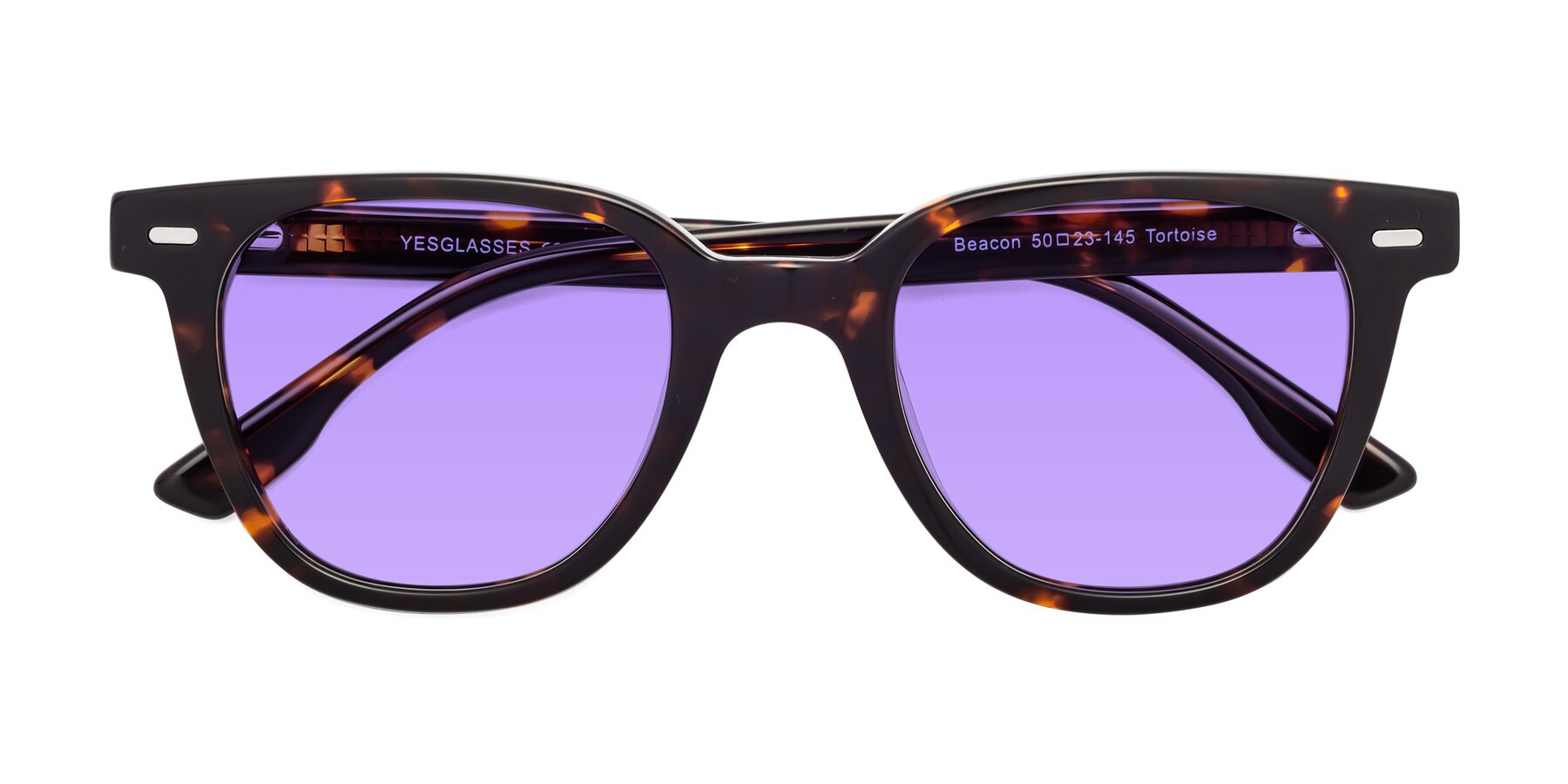 Folded Front of Beacon in Tortoise with Medium Purple Tinted Lenses