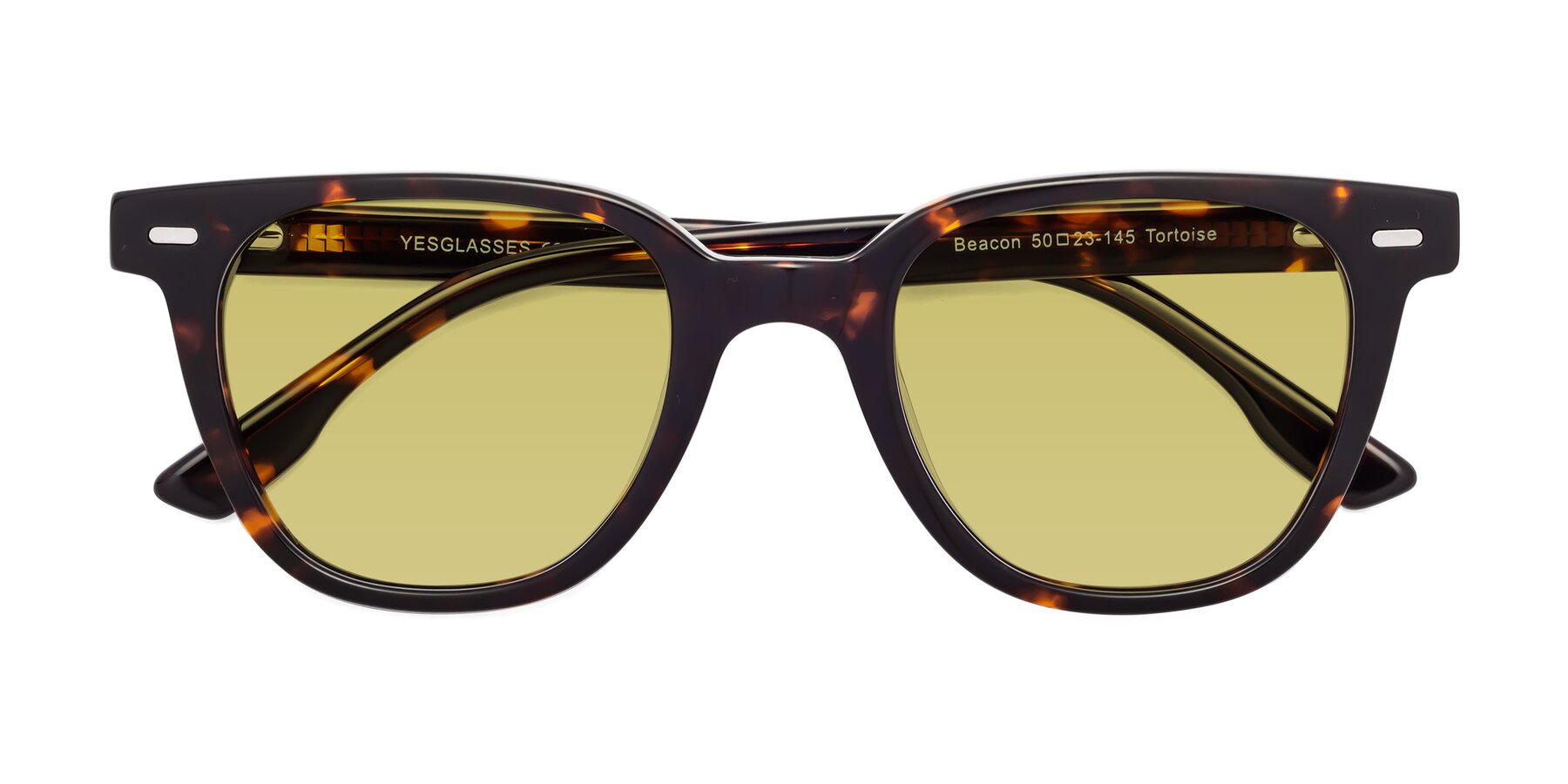 Folded Front of Beacon in Tortoise with Medium Champagne Tinted Lenses