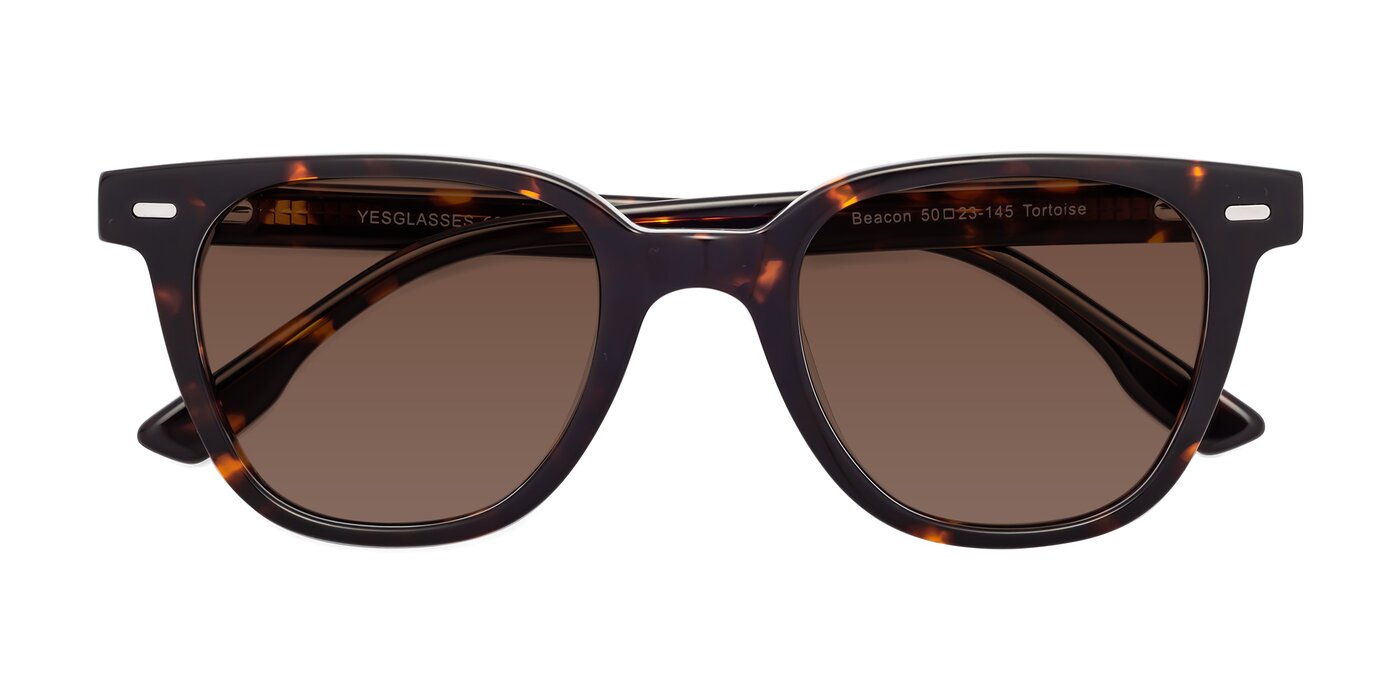 Beacon - Tortoise Tinted Sunglasses