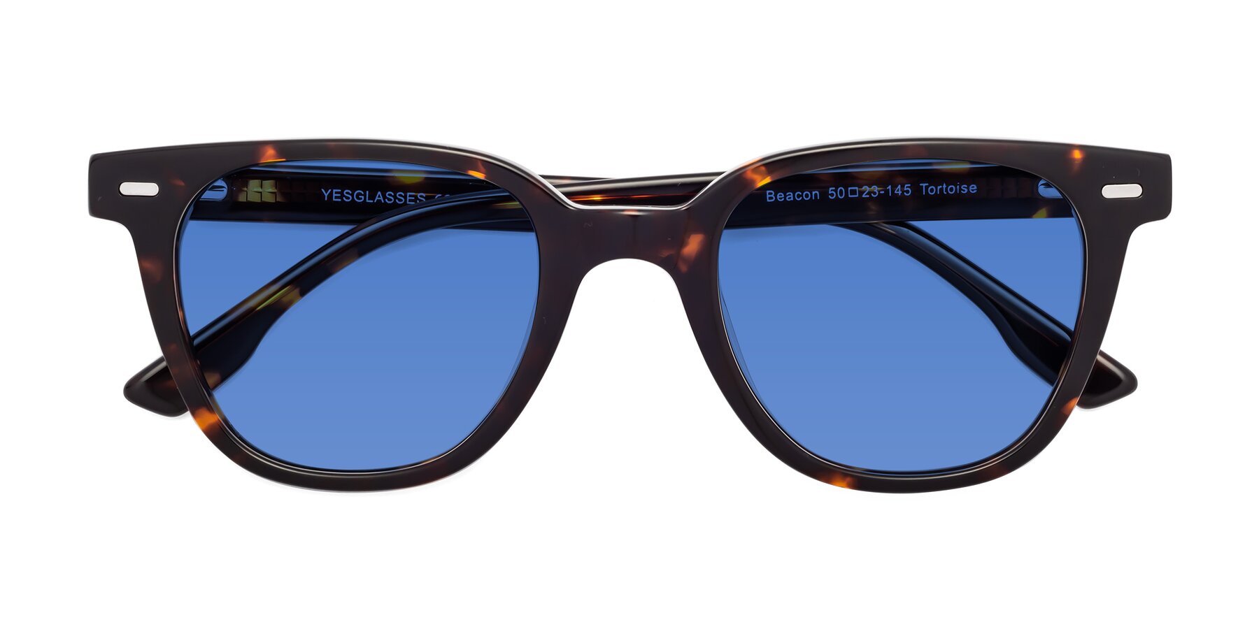 Folded Front of Beacon in Tortoise with Blue Tinted Lenses