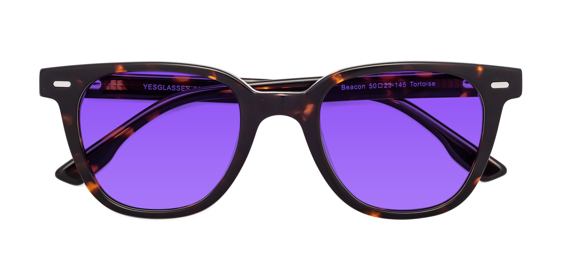 Folded Front of Beacon in Tortoise with Purple Tinted Lenses