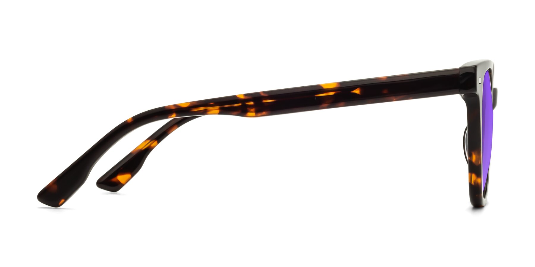 Side of Beacon in Tortoise with Purple Tinted Lenses