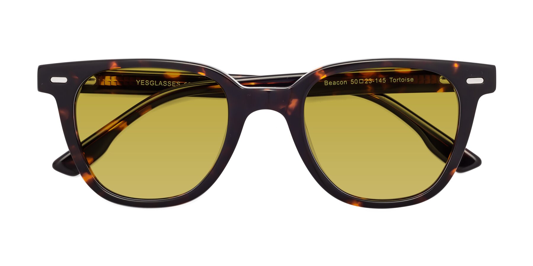 Folded Front of Beacon in Tortoise with Champagne Tinted Lenses