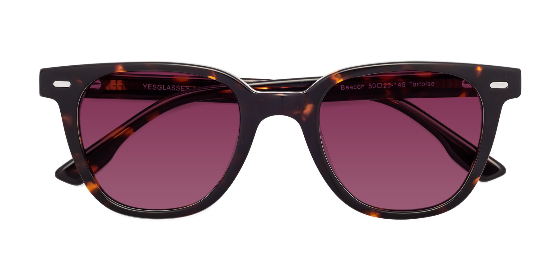 Folded Front of Beacon in Tortoise with Wine Tinted Lenses