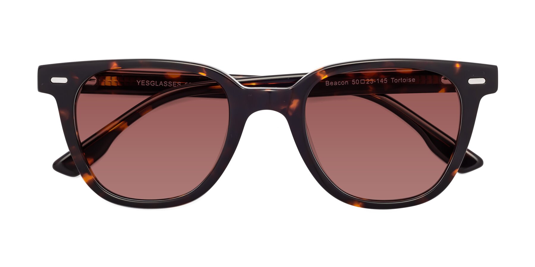 Folded Front of Beacon in Tortoise with Garnet Tinted Lenses