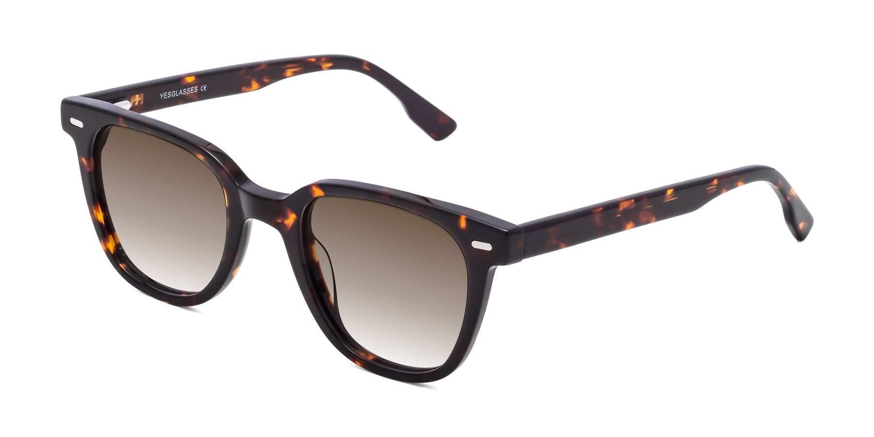 Angle of Beacon in Tortoise with Brown Gradient Lenses