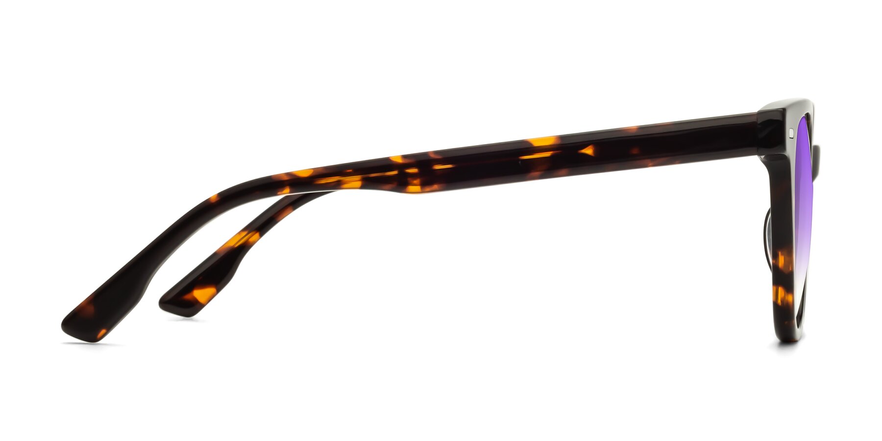 Side of Beacon in Tortoise with Purple Gradient Lenses