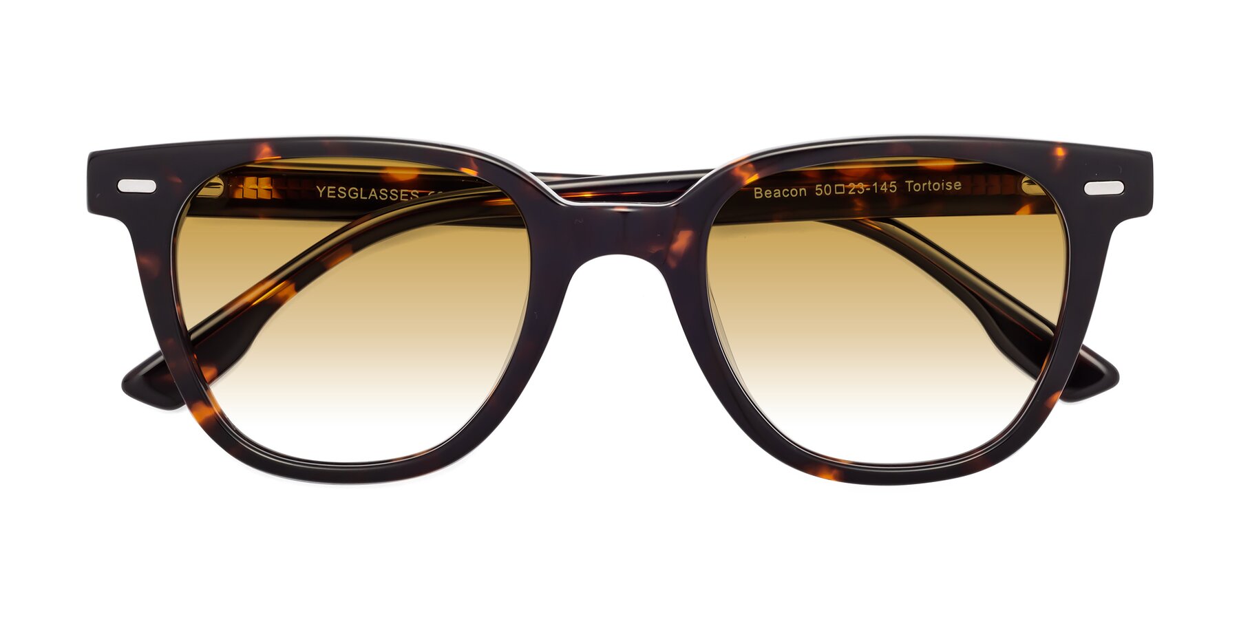 Folded Front of Beacon in Tortoise with Champagne Gradient Lenses