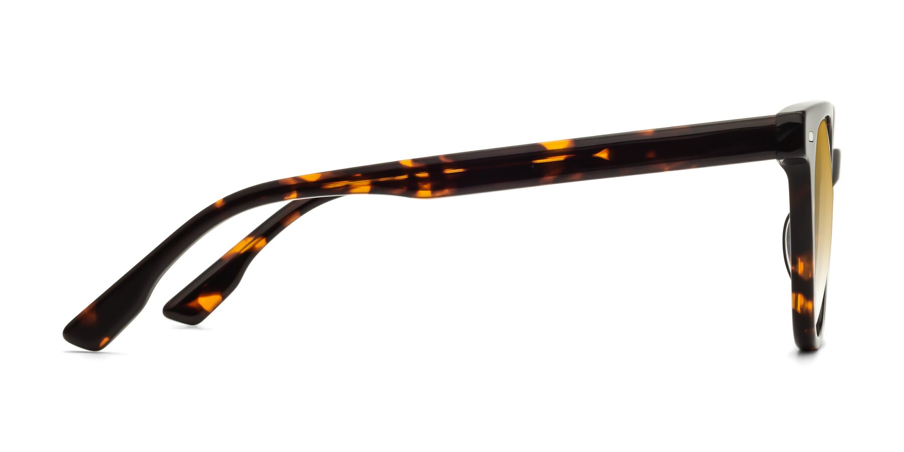 Side of Beacon in Tortoise with Champagne Gradient Lenses