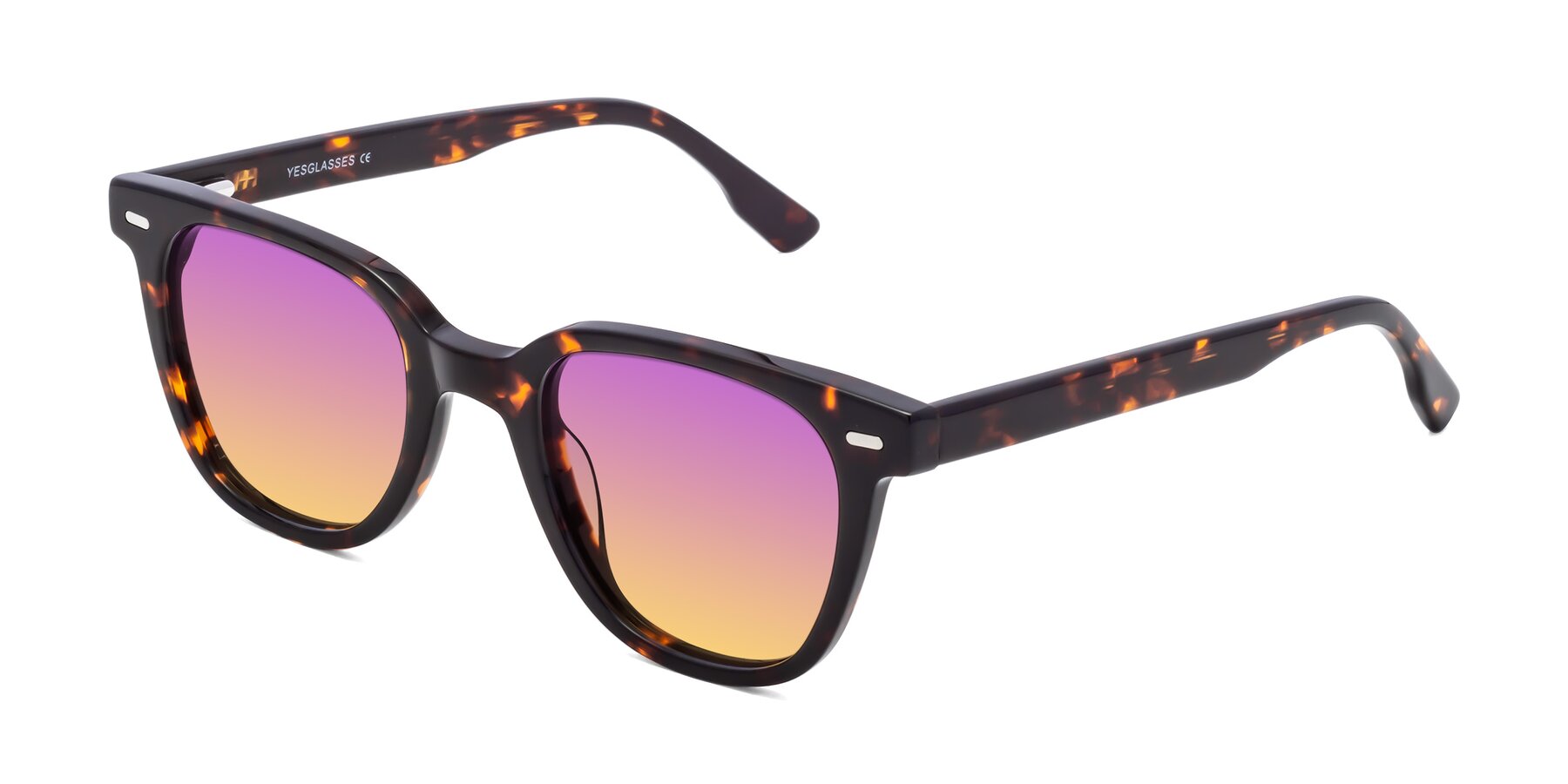 Angle of Beacon in Tortoise with Purple / Yellow Gradient Lenses