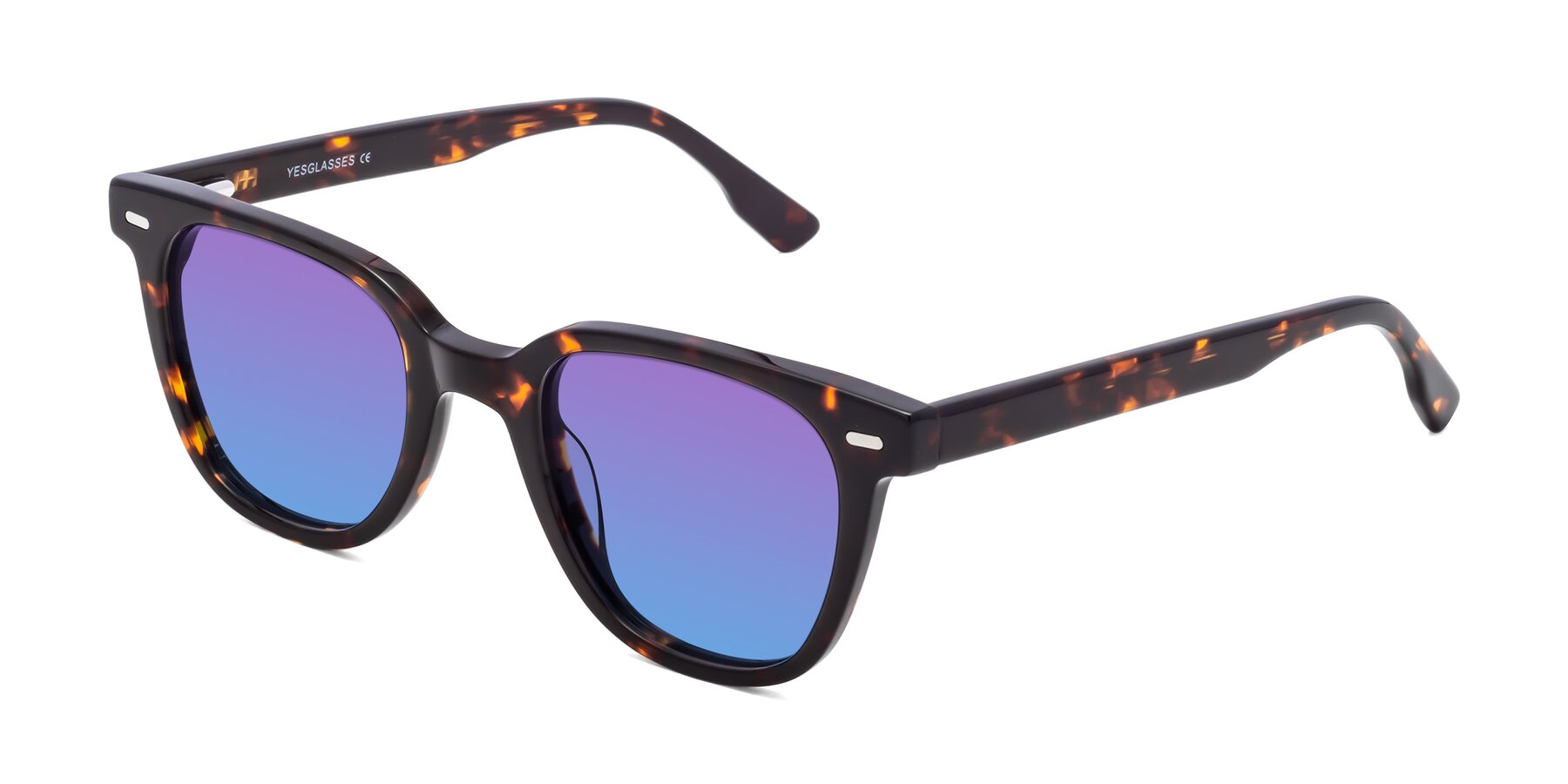 Angle of Beacon in Tortoise with Purple / Blue Gradient Lenses