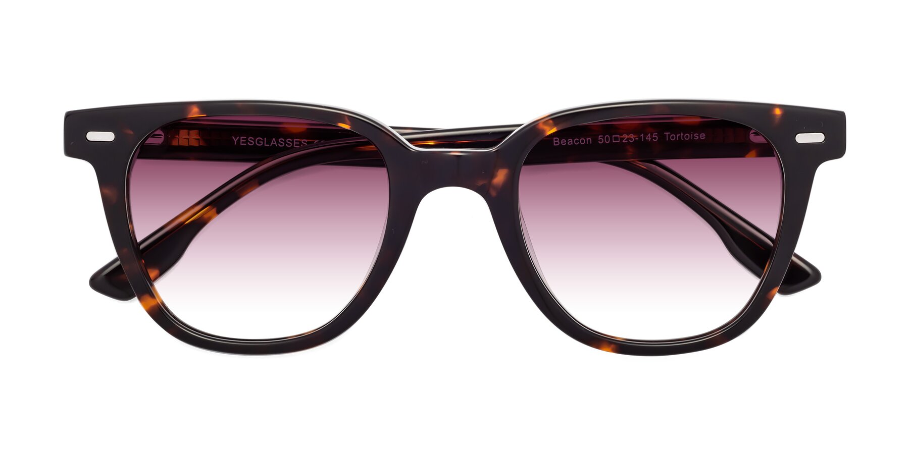 Folded Front of Beacon in Tortoise with Wine Gradient Lenses