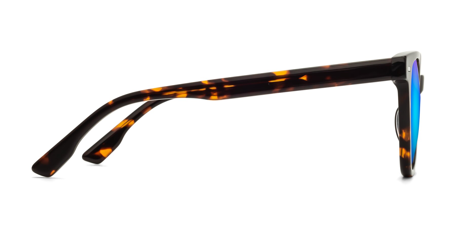 Side of Beacon in Tortoise with Blue Mirrored Lenses