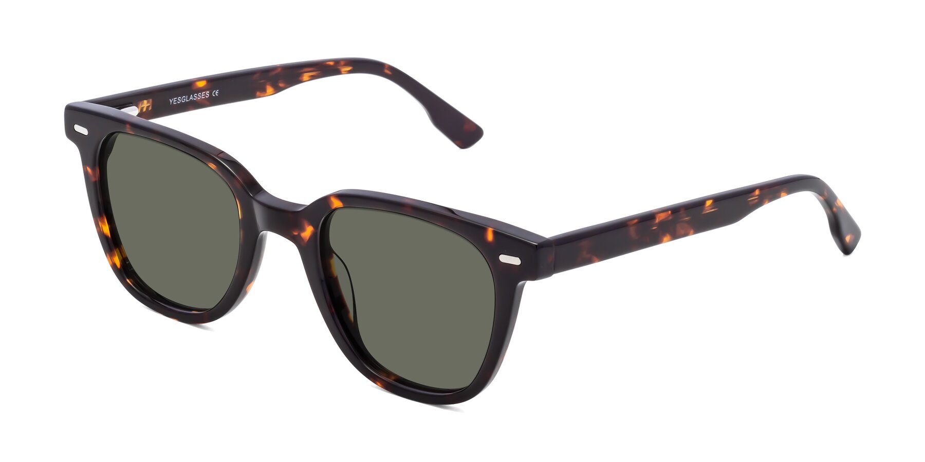 Angle of Beacon in Tortoise with Gray Polarized Lenses