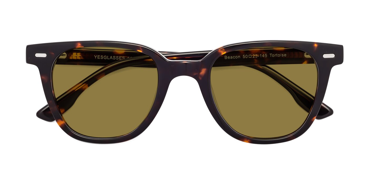 Beacon - Tortoise Polarized Sunglasses