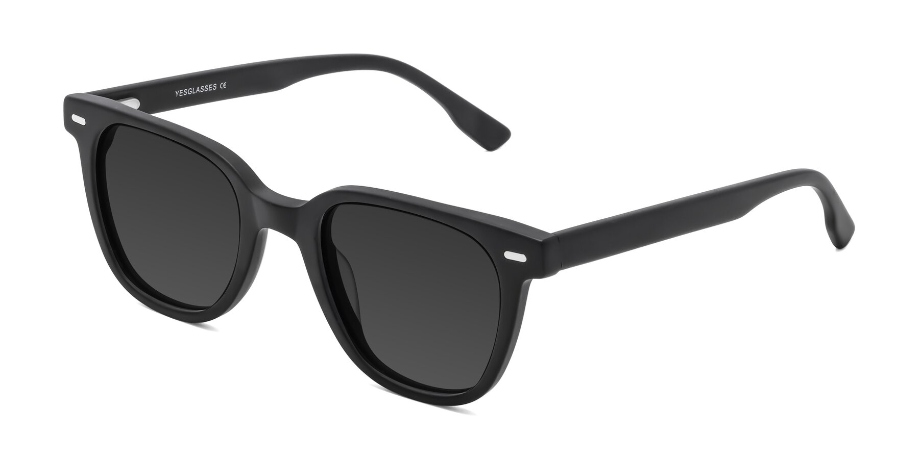 Angle of Beacon in Matte Black with Gray Tinted Lenses