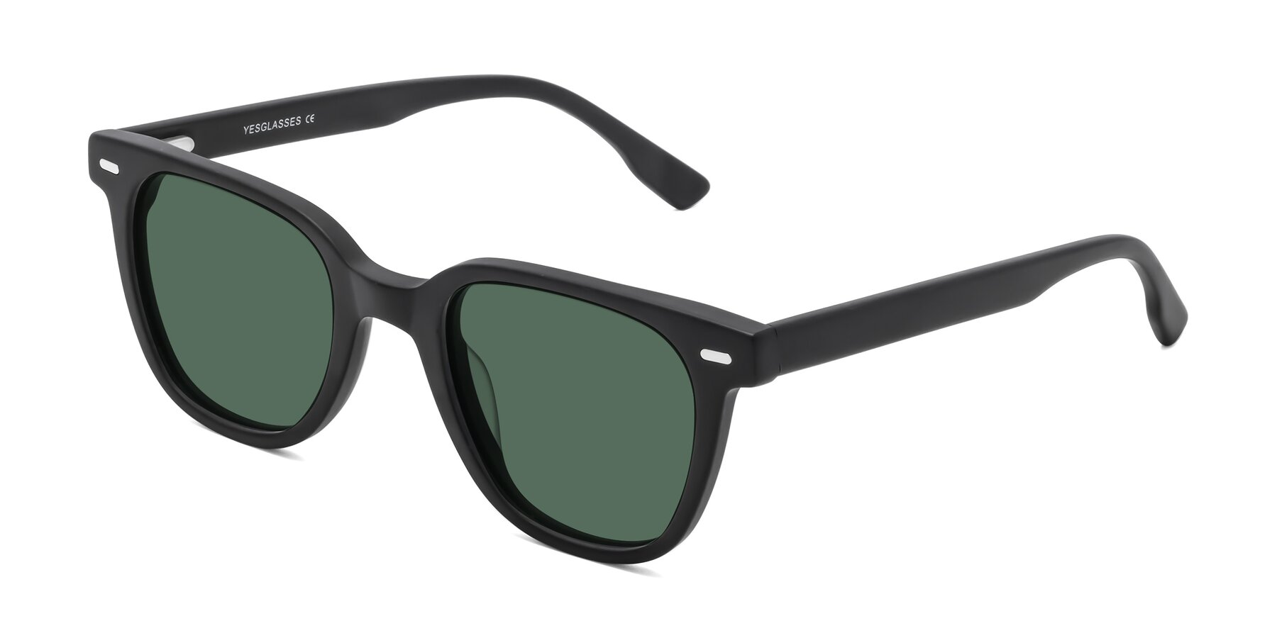 Angle of Beacon in Matte Black with Green Polarized Lenses
