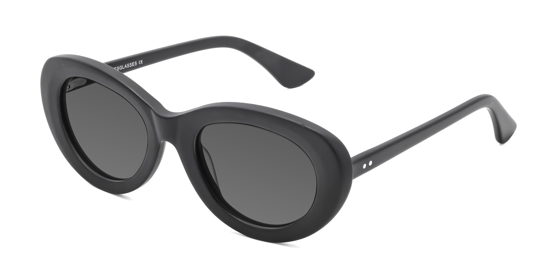 Angle of Taffeta in Matte Black with Medium Gray Tinted Lenses