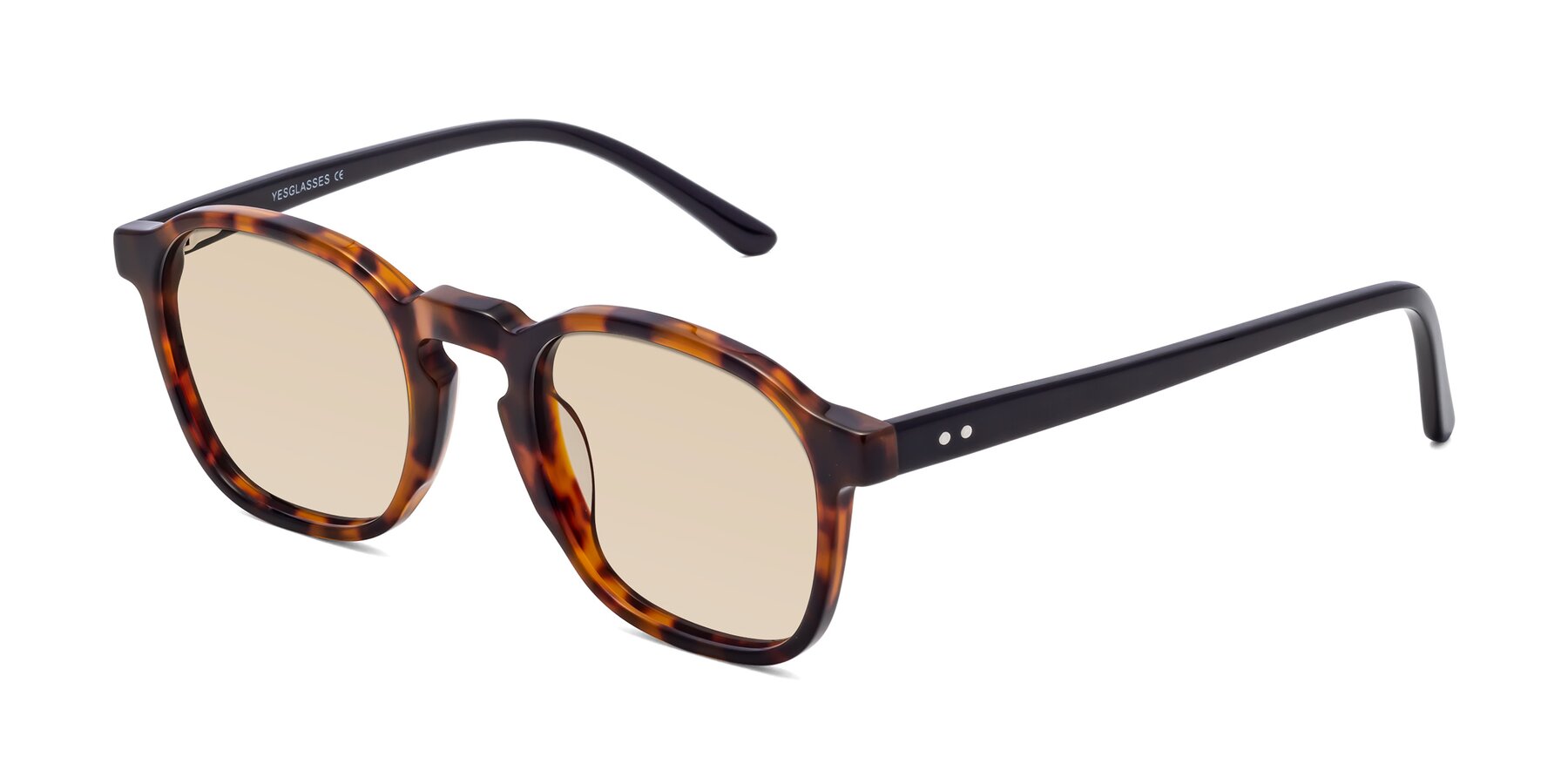 Angle of Generous in Tortoise with Light Brown Tinted Lenses