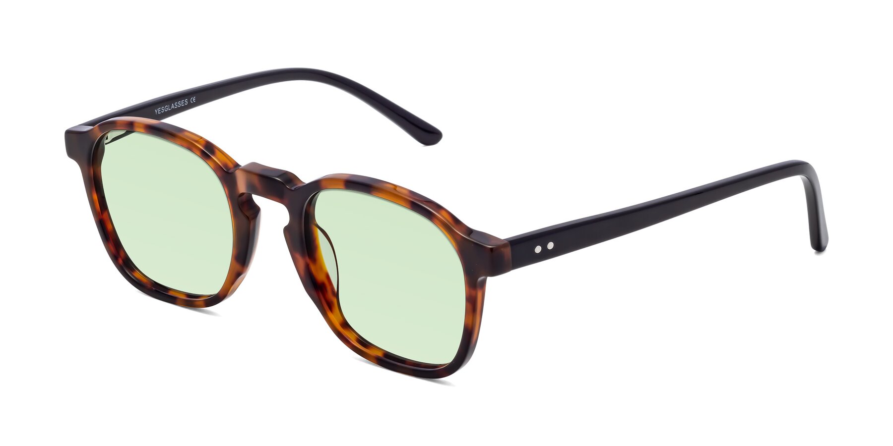 Angle of Generous in Tortoise with Light Green Tinted Lenses