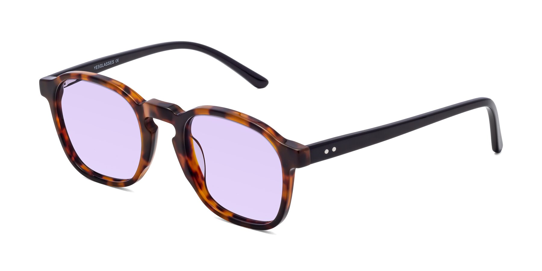 Angle of Generous in Tortoise with Light Purple Tinted Lenses
