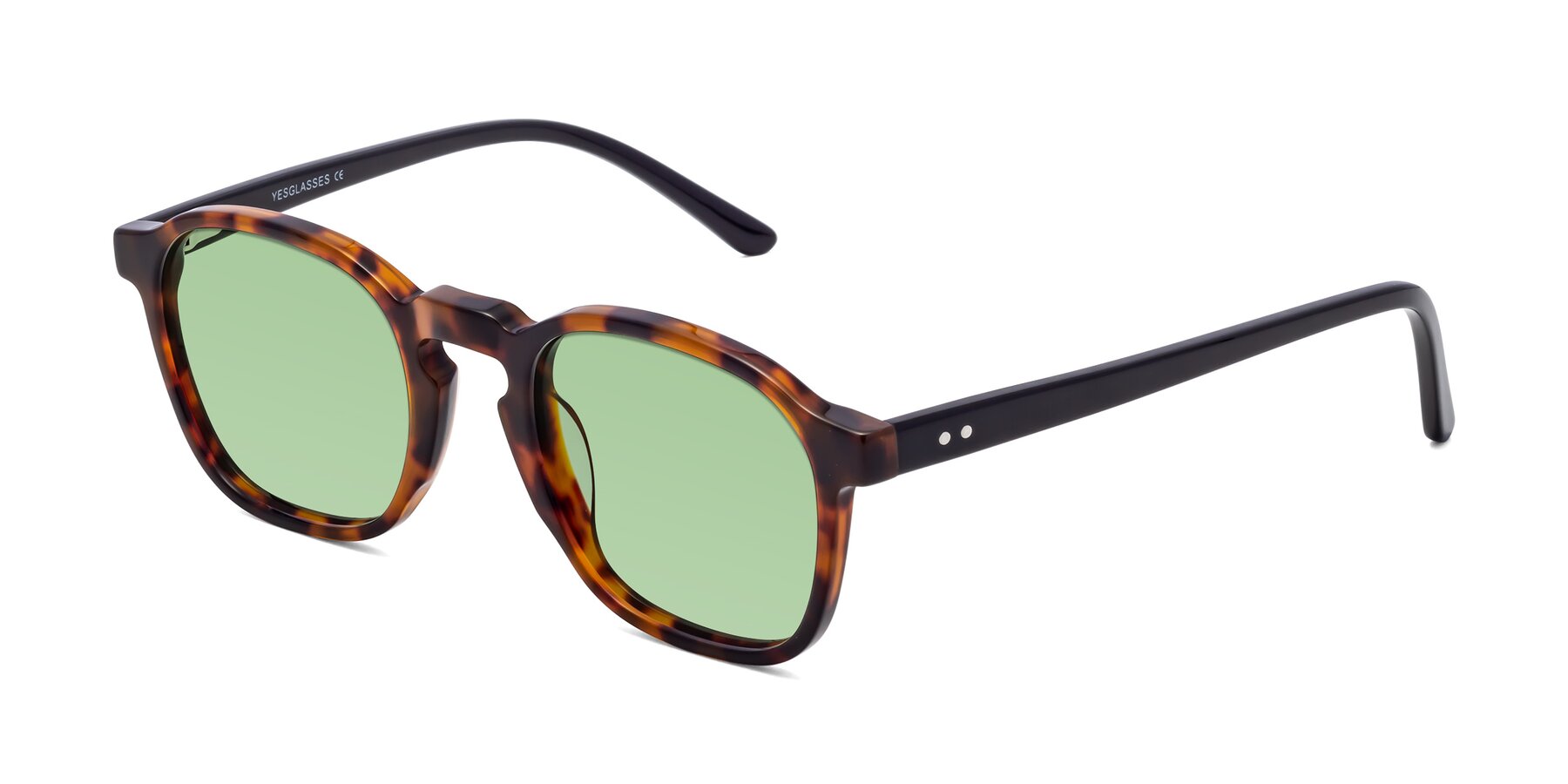 Angle of Generous in Tortoise with Medium Green Tinted Lenses