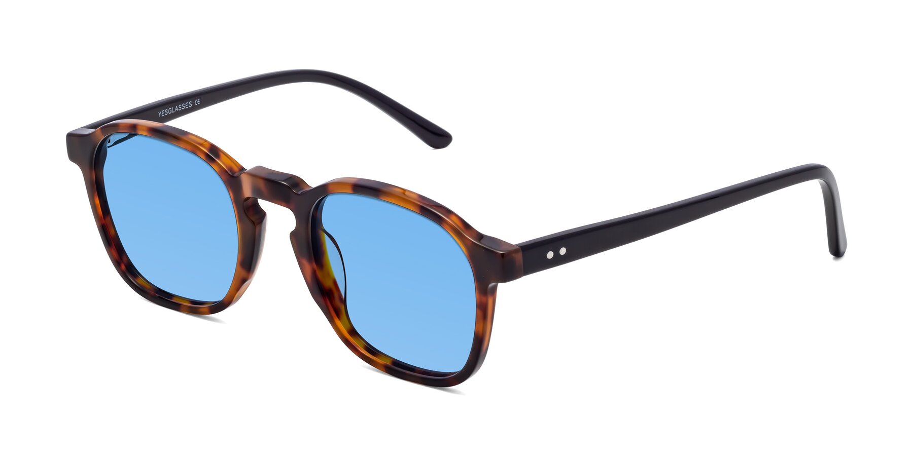 Angle of Generous in Tortoise with Medium Blue Tinted Lenses