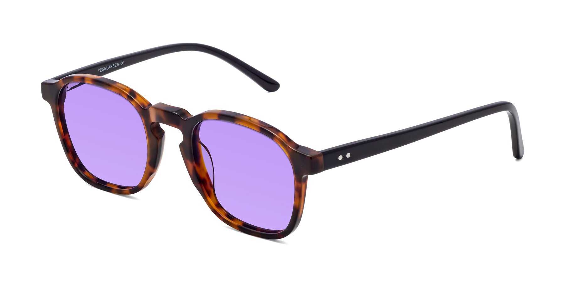 Angle of Generous in Tortoise with Medium Purple Tinted Lenses
