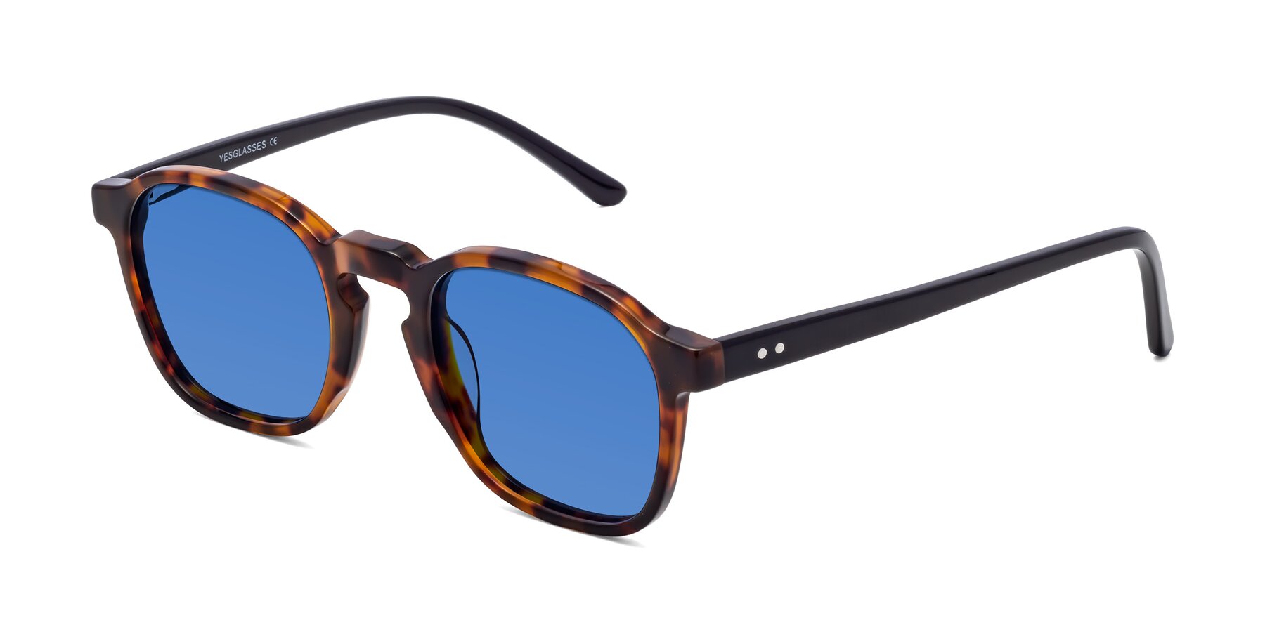 Angle of Generous in Tortoise with Blue Tinted Lenses