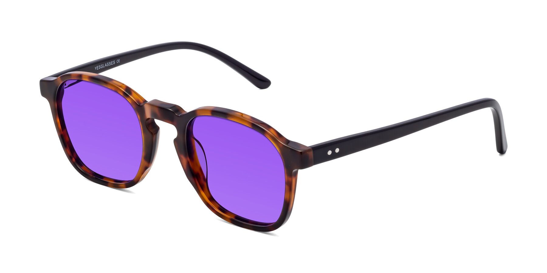 Angle of Generous in Tortoise with Purple Tinted Lenses