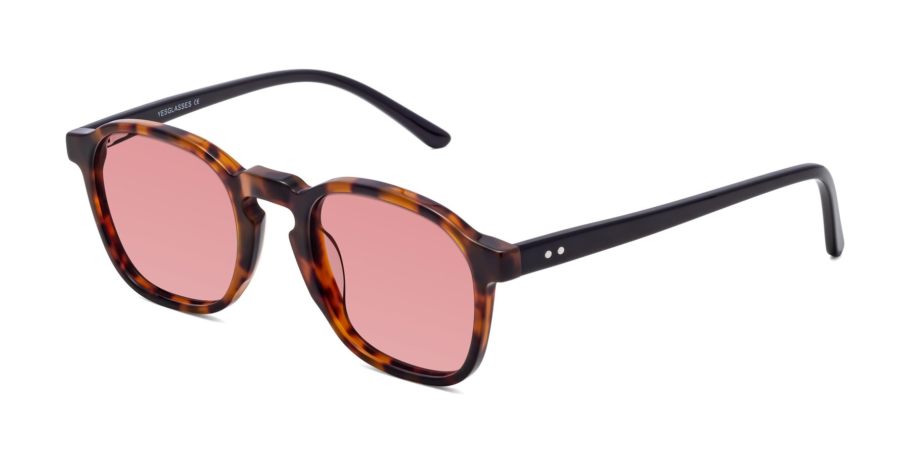 Angle of Generous in Tortoise with Medium Garnet Tinted Lenses