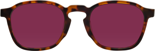 Tortoise Keyhole Sunglasses