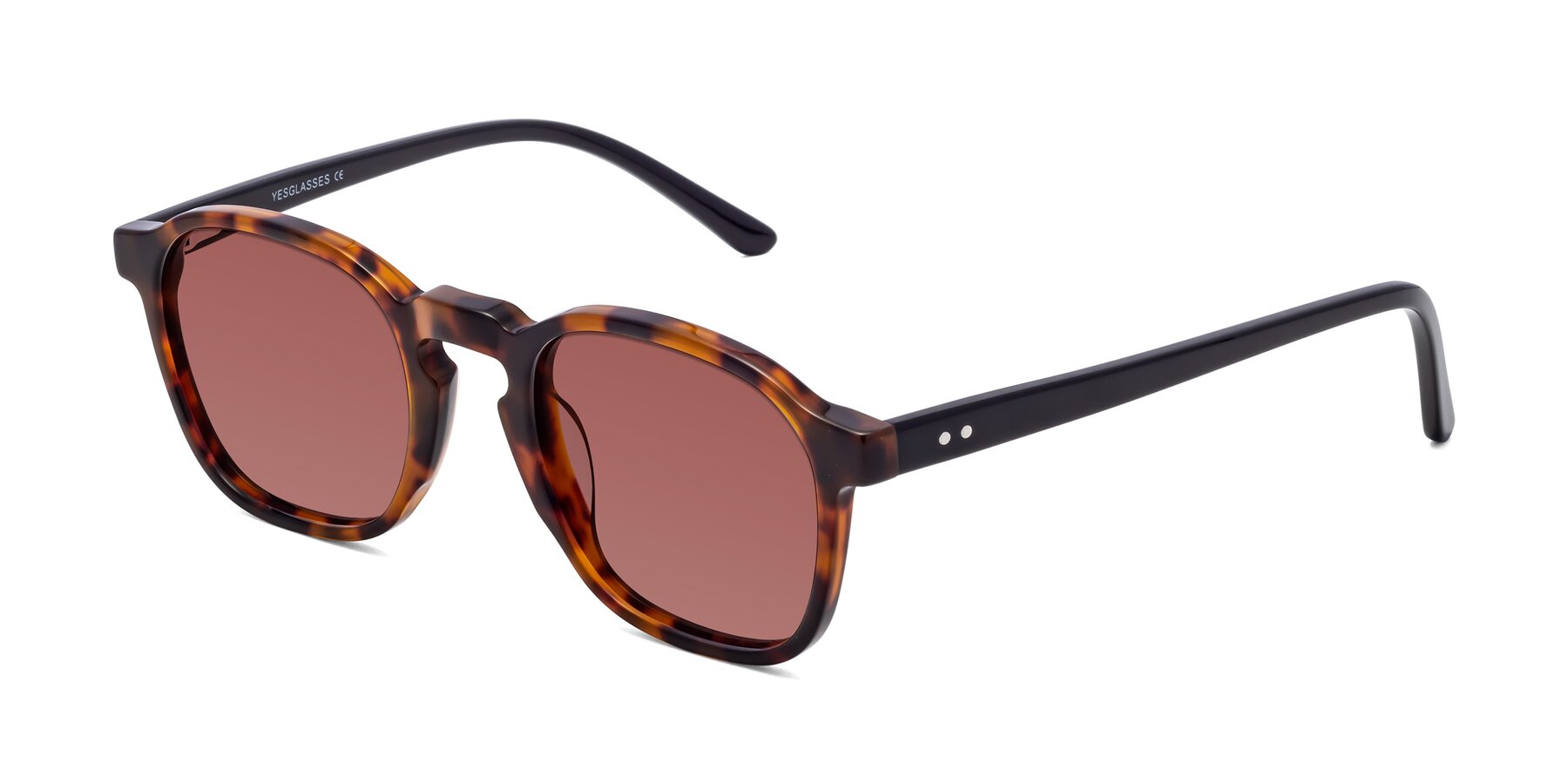 Angle of Generous in Tortoise with Garnet Tinted Lenses